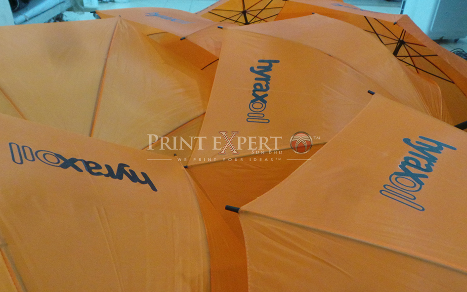 Corporate Gift Samples: Photo 8